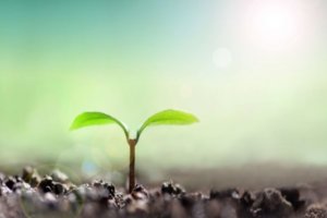 ブログ、スタート。