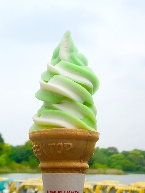 メロンバニラソフト