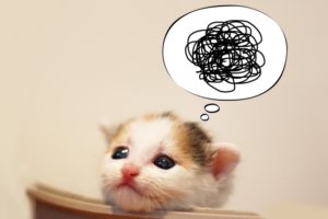 もやもやねこ