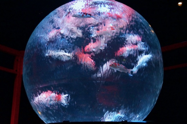 アースアクアリウム