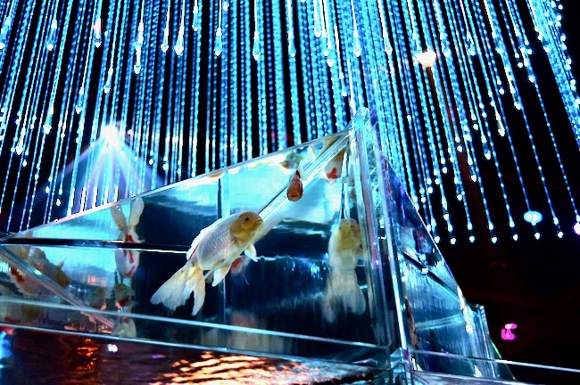 インフィニトリアム