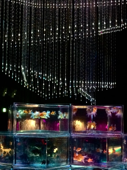 インフィニトリアム横から