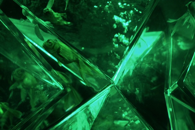 パラドックスリウム緑