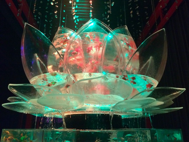 ロータスリウム翠