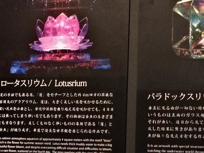 ロータスリウム説明