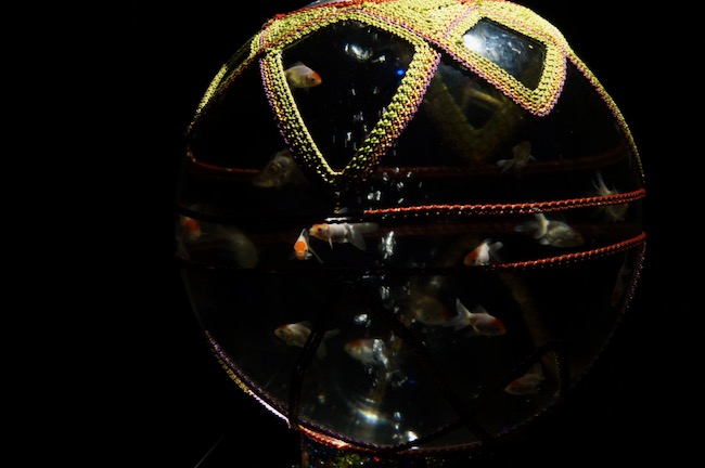 手まりリウム全景