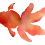 アートアクアリウム日本橋はいつまで?→リニューアル後は常時オープン!