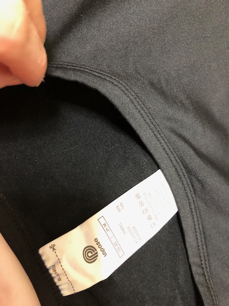 ラパサインナーの上