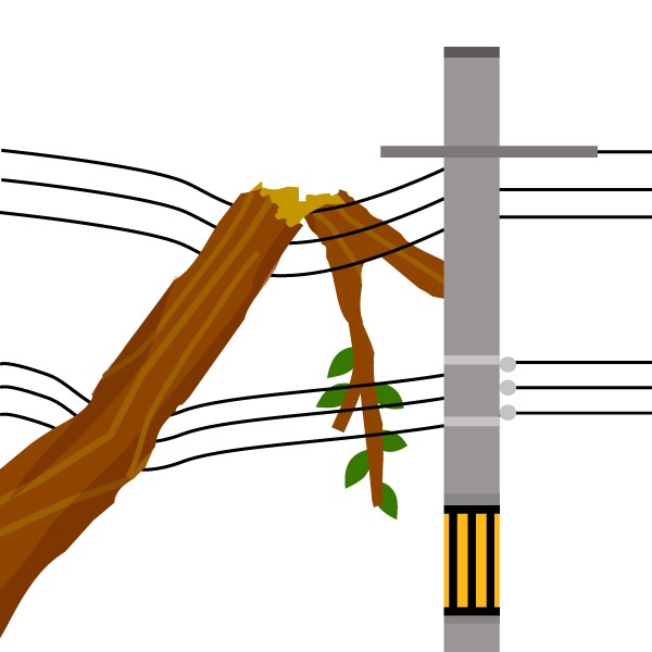 倒木による停電