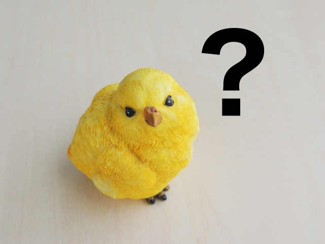 疑問ぴよ