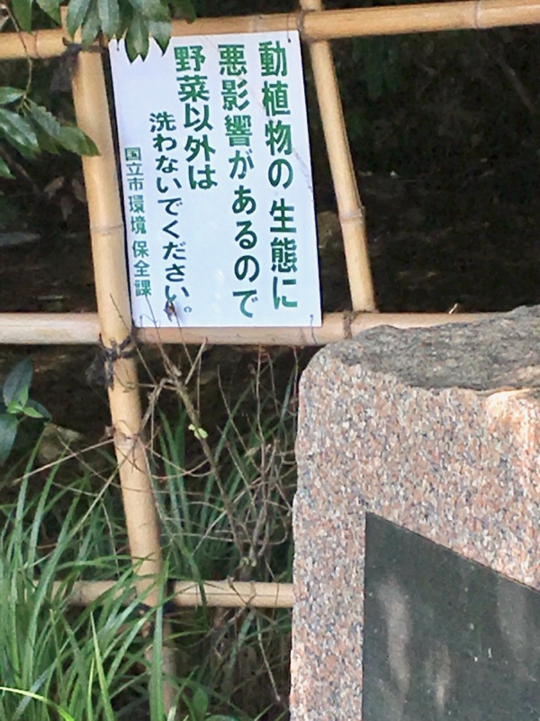 ここがママ下湧水源