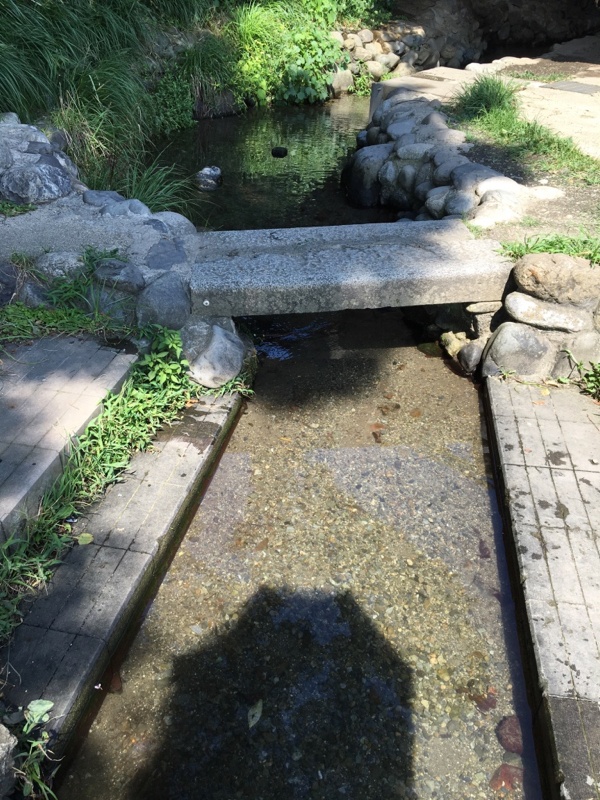 ママ下湧水公園の川
