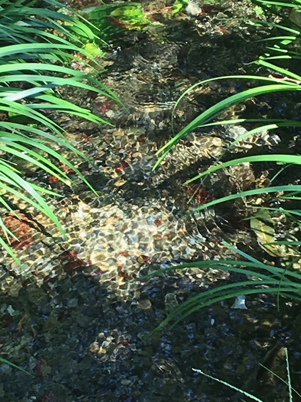 壗下からの流れ