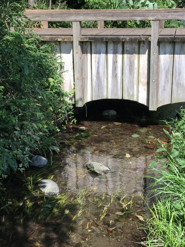 壗下湧水の木橋