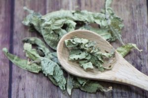 ヴァーベナがロクシタンで大人気！2021年の限定品も