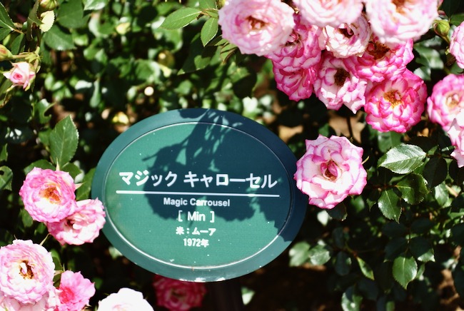 マジック・キャローセル