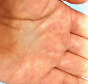 エメラルドスカイ手のひら