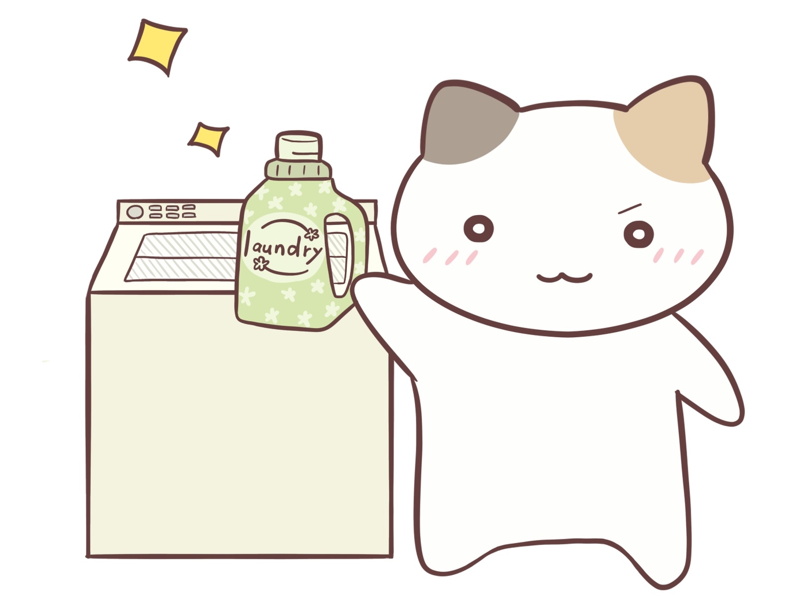 エヘン猫洗剤持ち