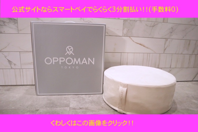 スマートペイ３回払い案内