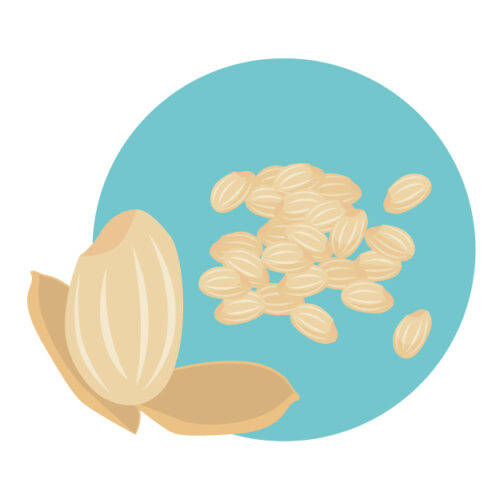 玄米緑青バック